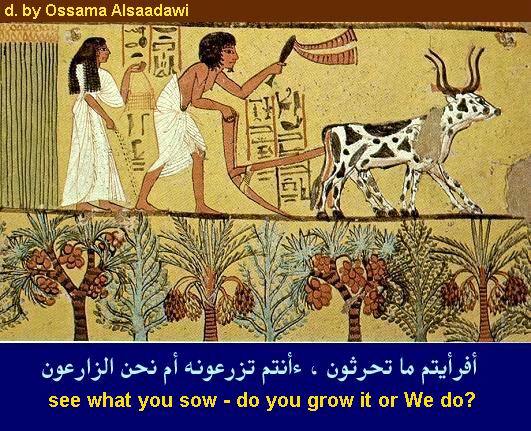 3 - الصور الفرعونية