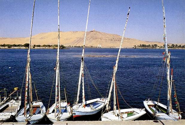 10 - نـاس وصـور