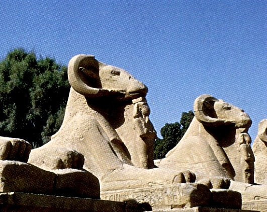 10 - نـاس وصـور