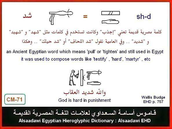 25 - مختارات من الكلمات الواسعة الإستخدام في اللغة المصرية القديمة