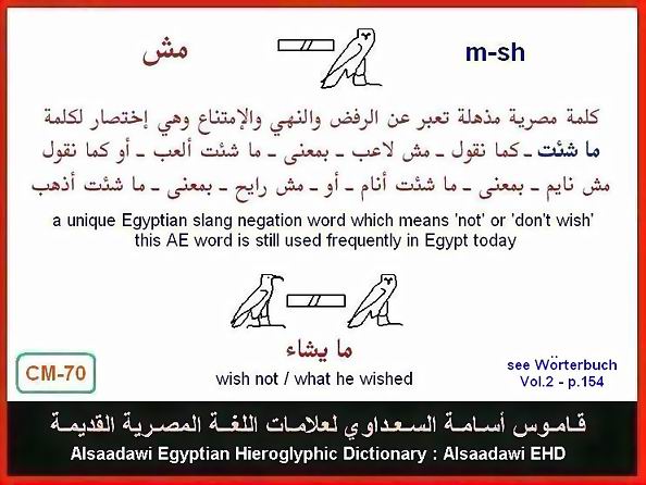 25 - مختارات من الكلمات الواسعة الإستخدام في اللغة المصرية القديمة