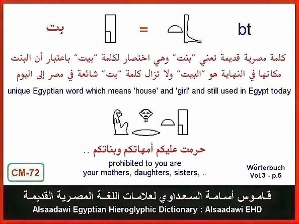 25 - مختارات من الكلمات الواسعة الإستخدام في اللغة المصرية القديمة