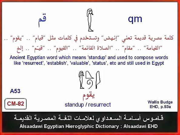 25 - مختارات من الكلمات الواسعة الإستخدام في اللغة المصرية القديمة