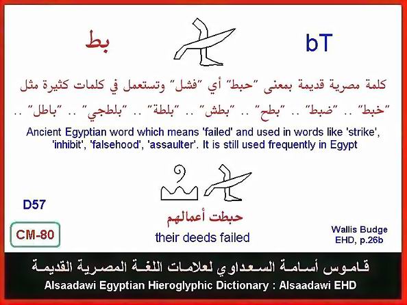 25 - مختارات من الكلمات الواسعة الإستخدام في اللغة المصرية القديمة