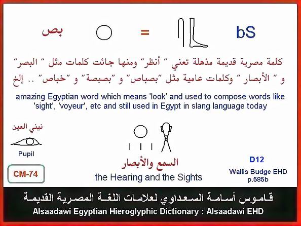 25 - مختارات من الكلمات الواسعة الإستخدام في اللغة المصرية القديمة