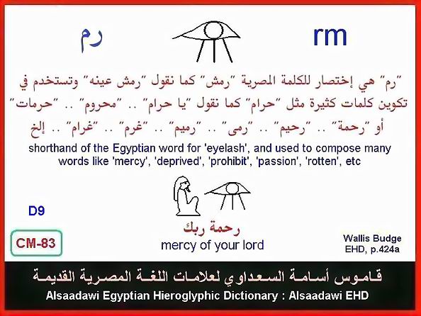 25 - مختارات من الكلمات الواسعة الإستخدام في اللغة المصرية القديمة