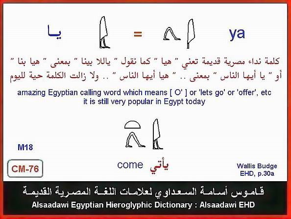 25 - مختارات من الكلمات الواسعة الإستخدام في اللغة المصرية القديمة