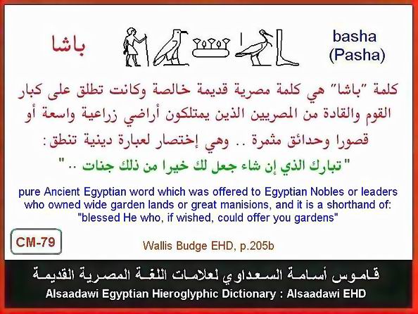 25 - مختارات من الكلمات الواسعة الإستخدام في اللغة المصرية القديمة